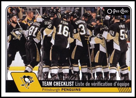 638 Pittsburgh Penguins